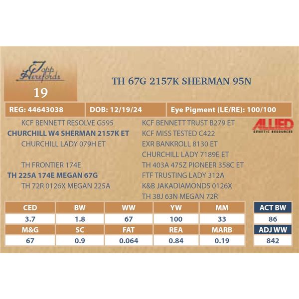 TH 67G 2157K SHERMAN 95N