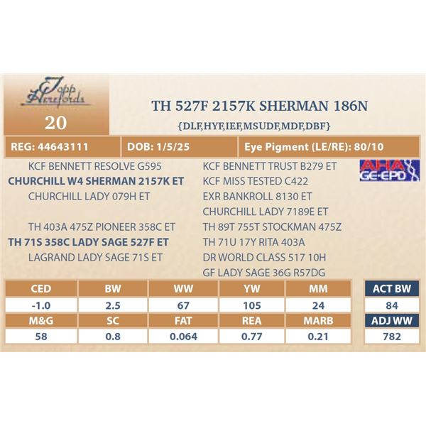 TH 527F 2157K SHERMAN 186N