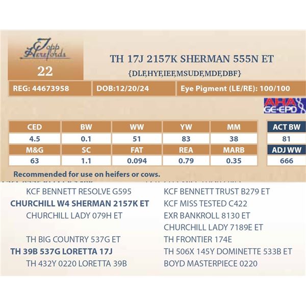 TH 17J 2157K SHERMAN 555N ET