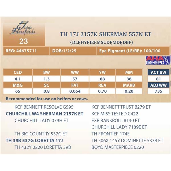 TH 17J 2157K SHERMAN 557N ET