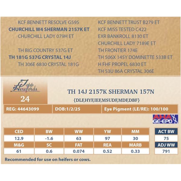 TH 14J 2157K SHERMAN 157N