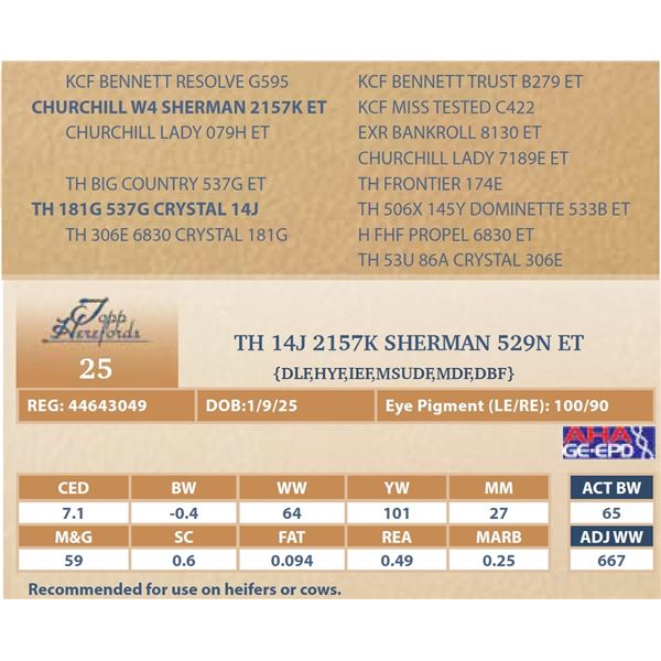 TH 14J 2157K SHERMAN 529N ET