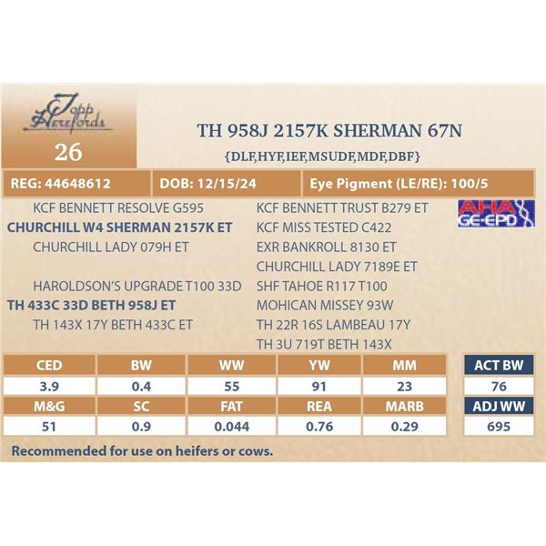 TH 958J 2157K SHERMAN 67N