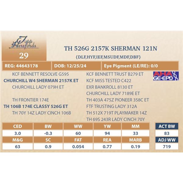 TH 526G 2157K SHERMAN 121N