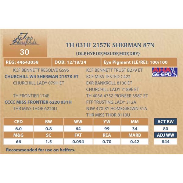 TH 031H 2157K SHERMAN 87N