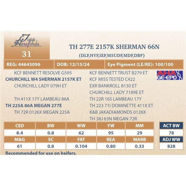 TH 277E 2157K SHERMAN 66N