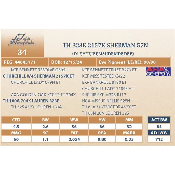 TH 323E 2157K SHERMAN 57N