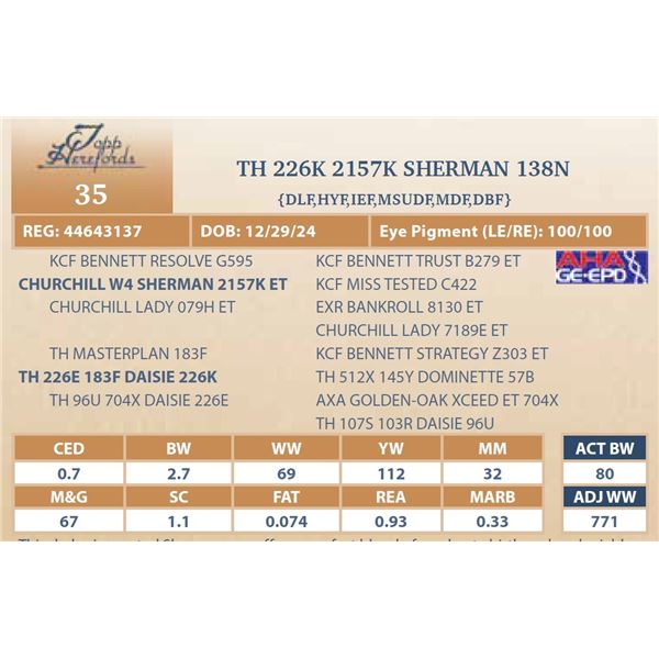 TH 226K 2157K SHERMAN 138N