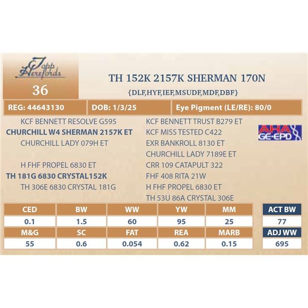 TH 152K 2157K SHERMAN 170N