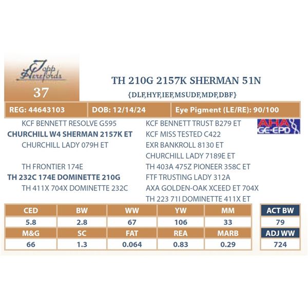TH 210G 2157K SHERMAN 51N