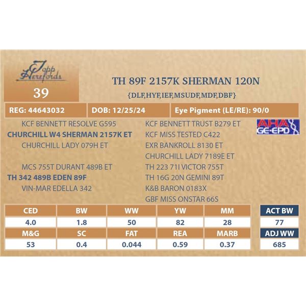 TH 89F 2157K SHERMAN 120N