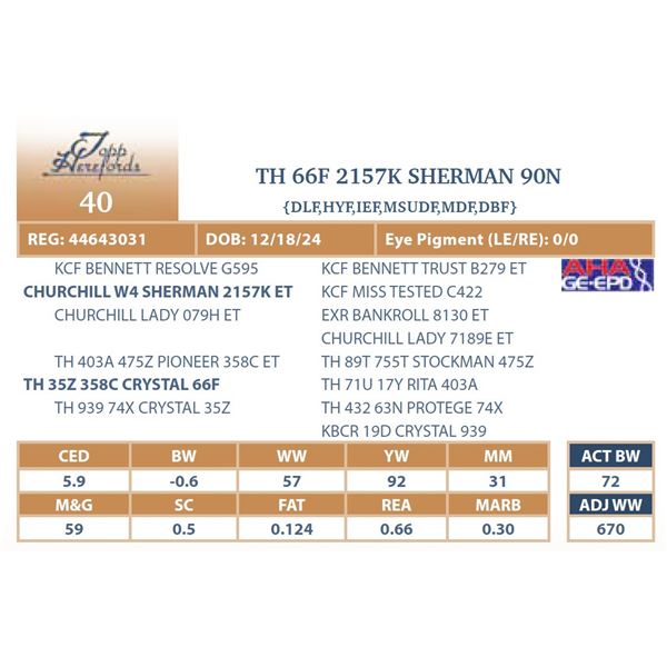 TH 66F 2157K SHERMAN 90N