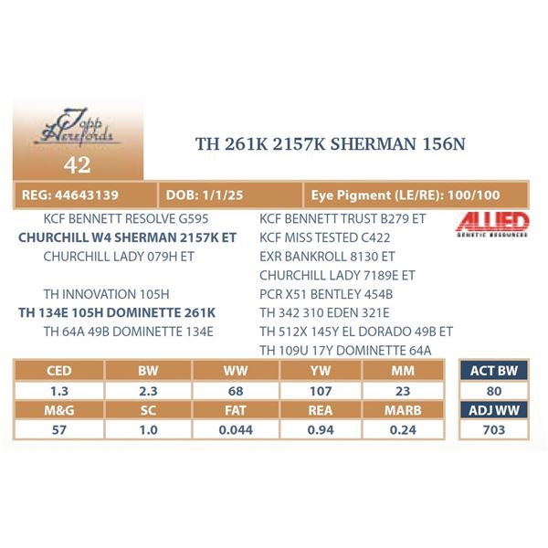 TH 261K 2157K SHERMAN 156N