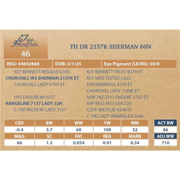 TH DR 2157K SHERMAN 60N