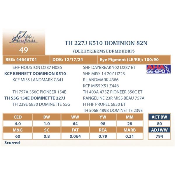 TH 227J K510 DOMINION 82N