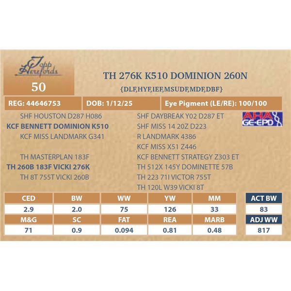 TH 276K K510 DOMINION 260N