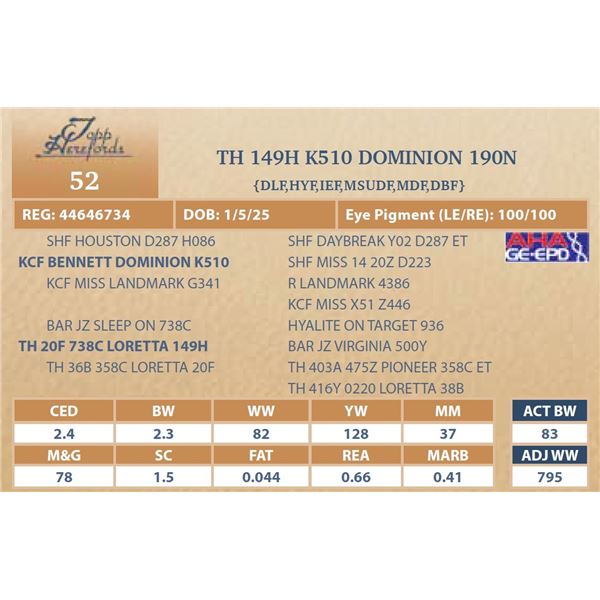 TH 149H K510 DOMINION 190N