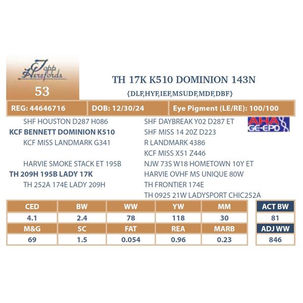 TH 17K K510 DOMINION 143N