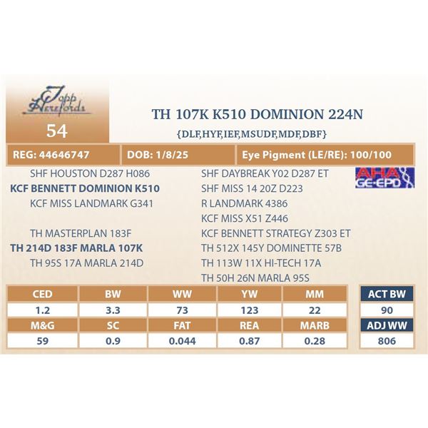 TH 107K K510 DOMINION 224N