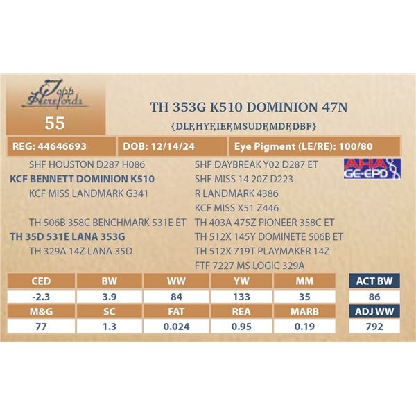 TH 353G K510 DOMINION 47N