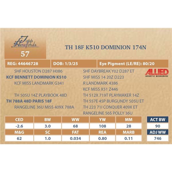 TH 18F K510 REMINGTON 174N
