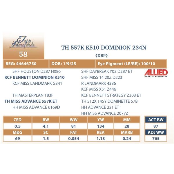TH 557K K510 DOMINION 234N
