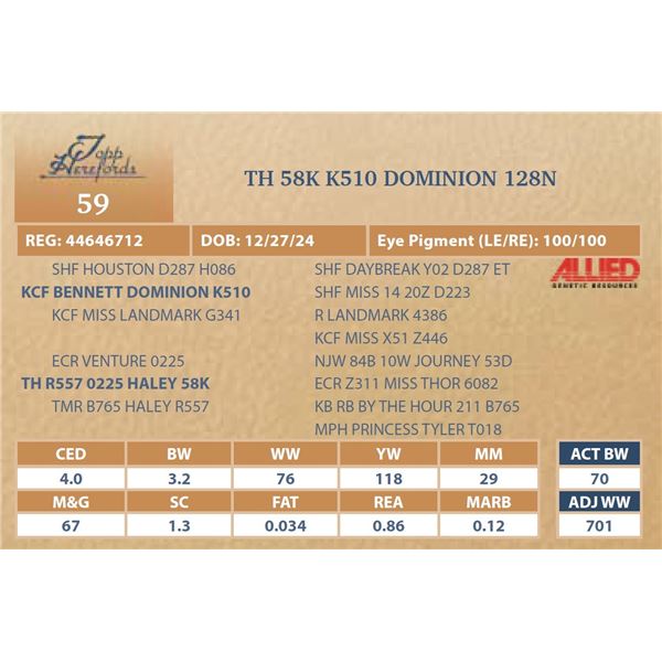 TH 58K K510 DOMINION 128N