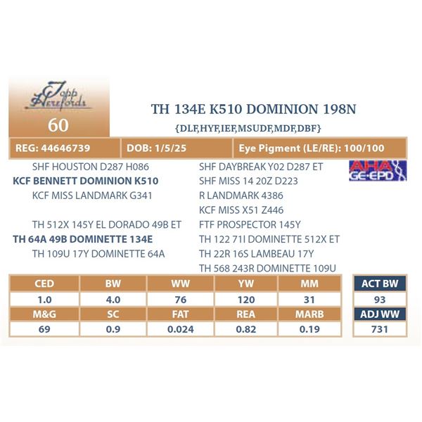 TH 134E K510 DOMINION 198N