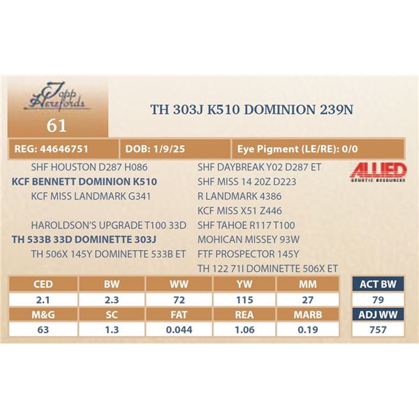 TH 303J K510 DOMINION 239N