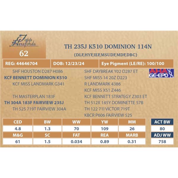 TH 235J K510 DOMINION 114N