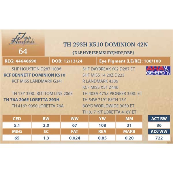 TH 293H K510 DOMINION 42N