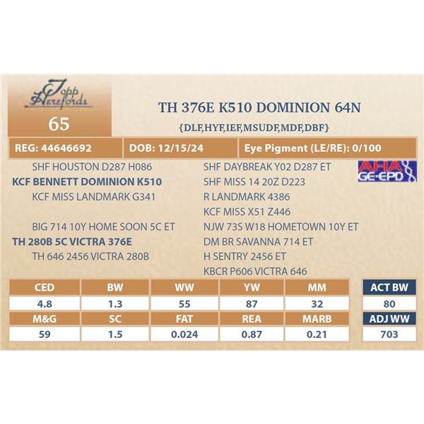 TH 376E K510 DOMINION 64N