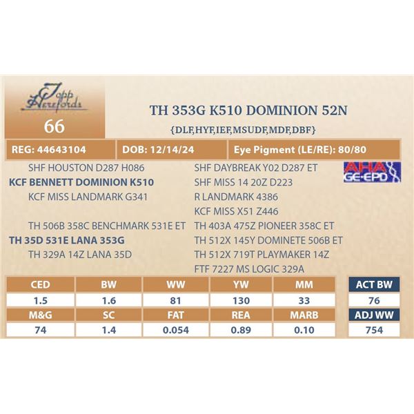 TH 353G K510 DOMINION 52N