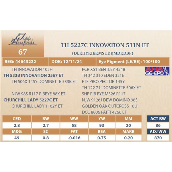 TH 5227C INNOVATION 511N ET