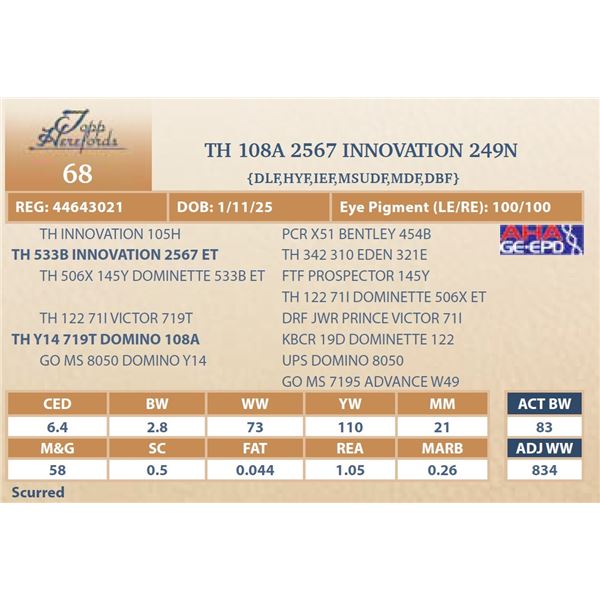 TH 108A 2567 INNOVATION 249N