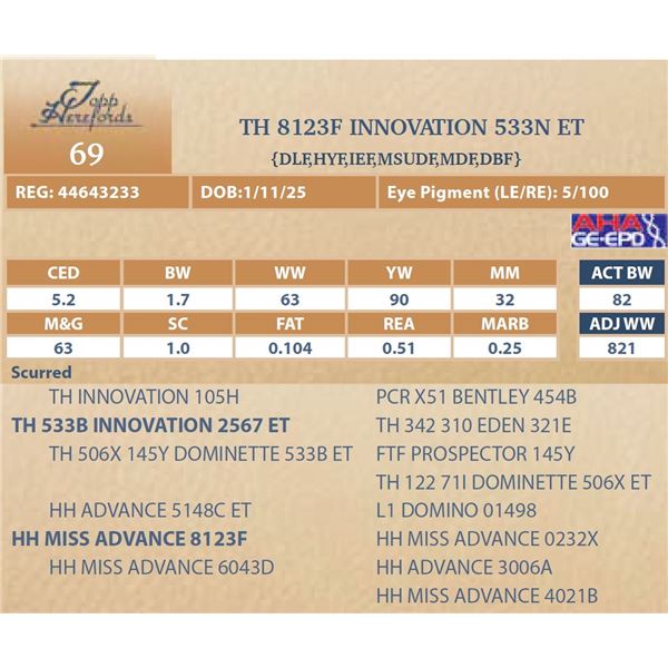 TH 8123F INNOVATION 533N ET