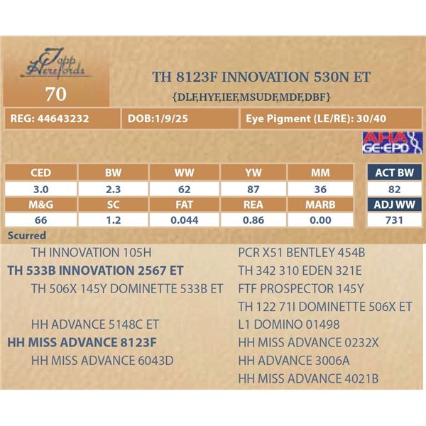 TH 8123F INNOVATION 530N ET