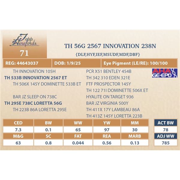 TH 56G 2567 INNOVATION 238N