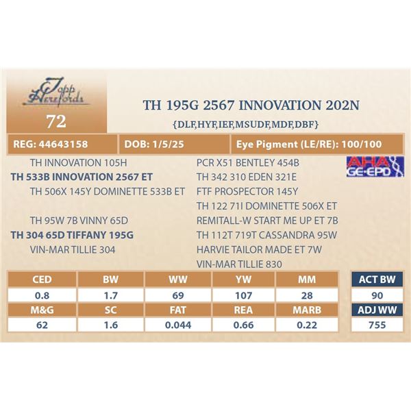 TH 195G 2567 INNOVATION 202N