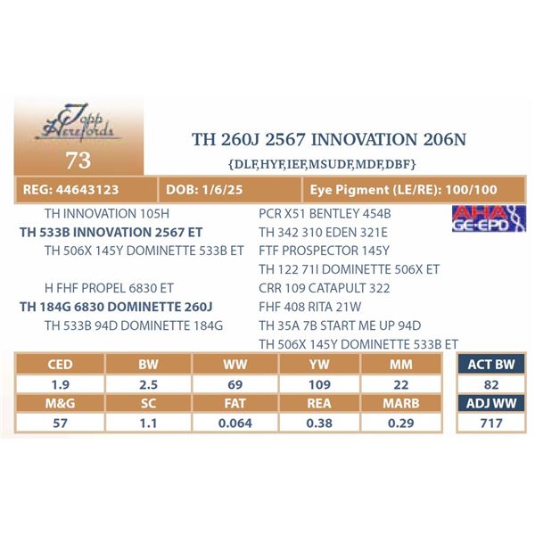 TH 260J 2567 INNOVATION 206N