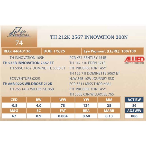 TH 212K 2567 INNOVATION 200N