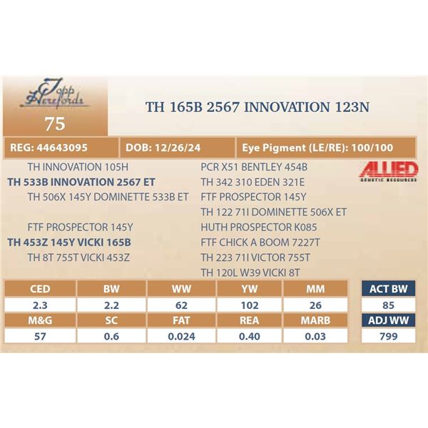 TH 165B 2567 INNOVATION 123N