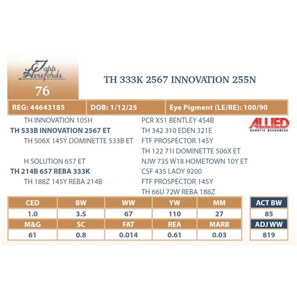 TH 333K 2567 INNOVATION 255N