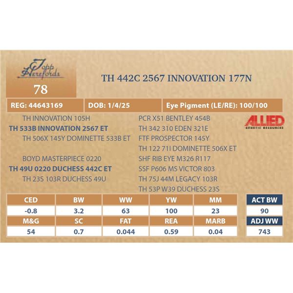 TH 442C 2567 INNOVATION 177N