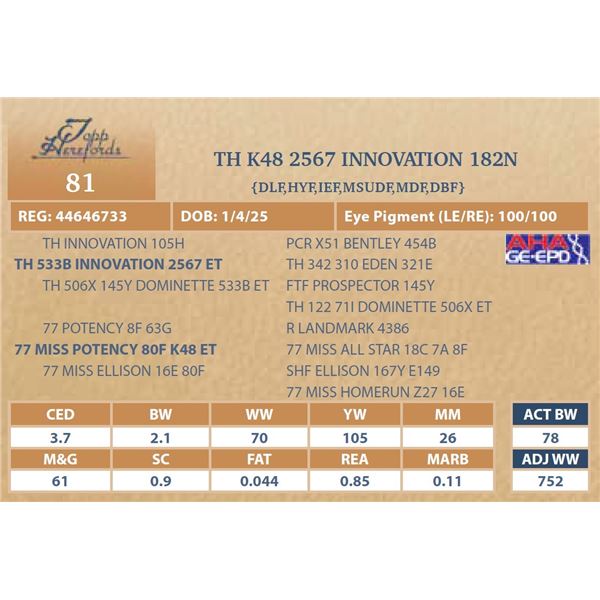 TH K48 2567 INNOVATION 182N