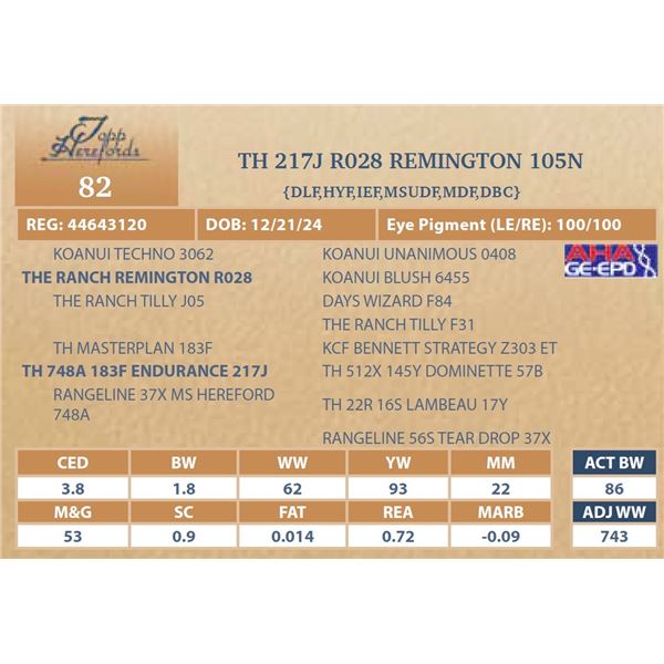 TH 217J R028 REMINGTON 105N