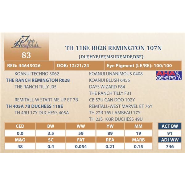 TH 118E R028 REMINGTON 107N