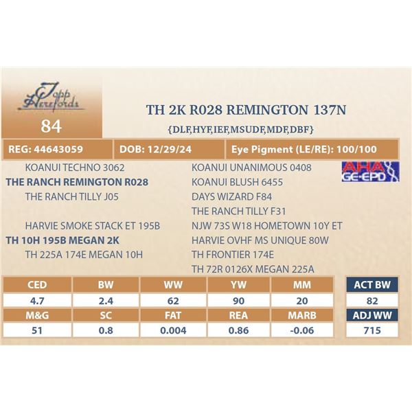 TH 2K R028 REMINGTON 137N