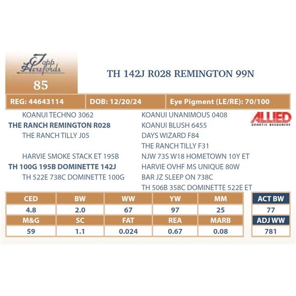 TH 142J R028 REMINGTON 99N