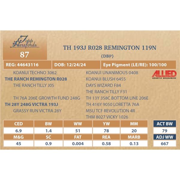 TH 193J R028 REMINGTON 119N